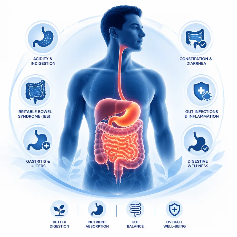Digestive & Gut Health